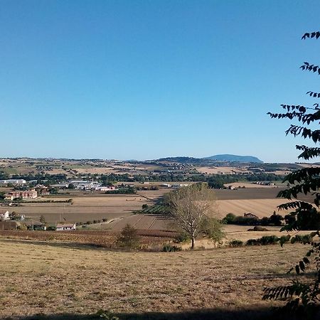 Agriturismo Relais La Scala Di Seta Villa Potenza Picena Eksteriør billede