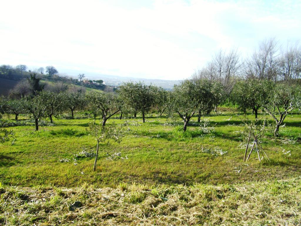 Agriturismo Relais La Scala Di Seta Villa Potenza Picena Eksteriør billede