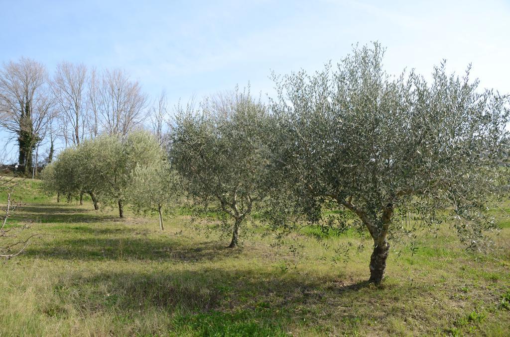 Agriturismo Relais La Scala Di Seta Villa Potenza Picena Eksteriør billede